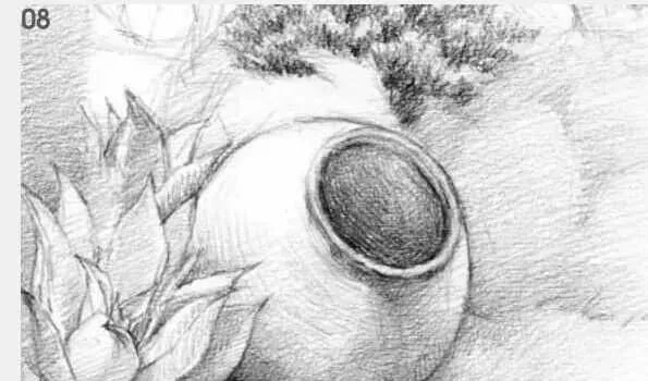素描場景實(shí)操教程！花園一角怎么畫？重慶畫室學(xué)子看過來！圖九