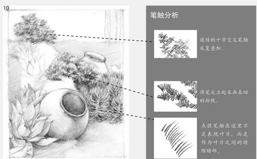 素描場景實(shí)操教程！花園一角怎么畫？重慶畫室學(xué)子看過來！圖十一