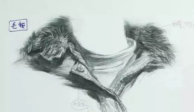 重慶美術培訓畫室教你衣領怎么畫？不同材質衣領刻畫方法都有！