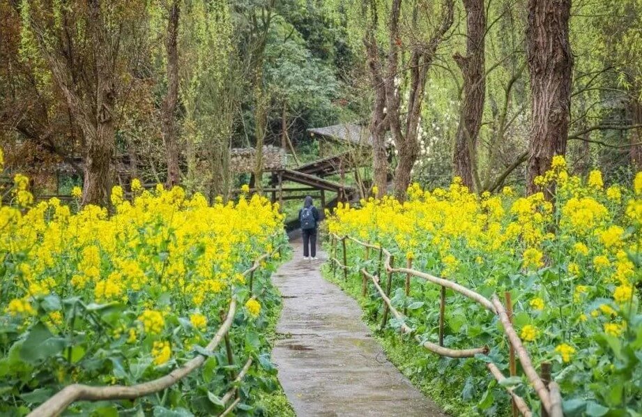 在川美上學是一種什么體驗？重慶美術集訓畫室帶你來漲姿勢了！