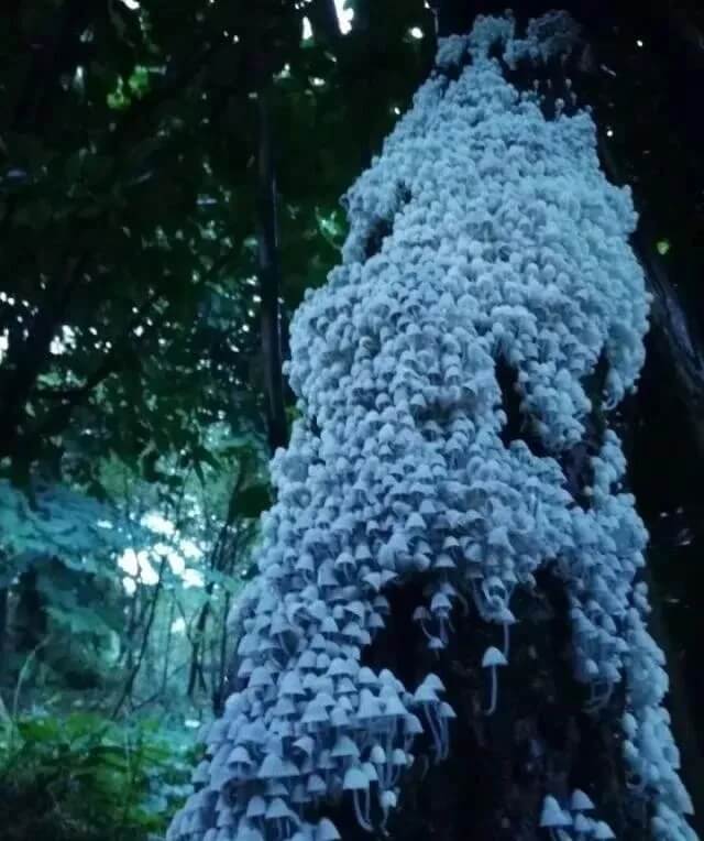 重慶美術培訓