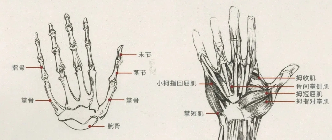 重慶美術(shù)培訓(xùn)畫(huà)室：畫(huà)人難畫(huà)手，畫(huà)好手速寫(xiě)事半功倍！