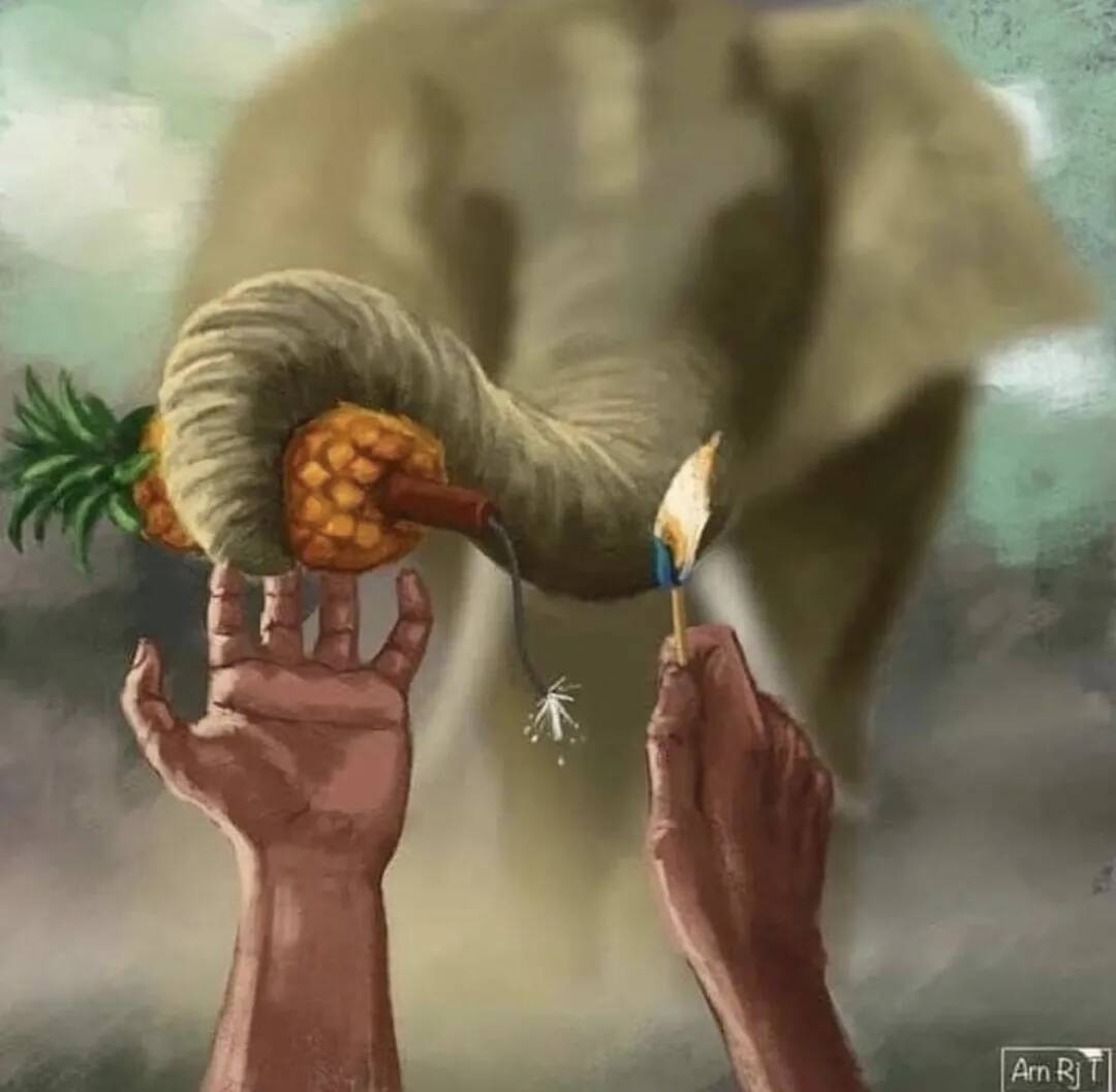 重慶藝考畫室資訊 | 懷孕母象被人類投喂炸彈慘死，藝術家哭著為它作畫！