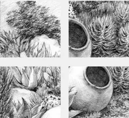 素描場景實(shí)操教程！花園一角怎么畫？重慶畫室學(xué)子看過來！圖十六