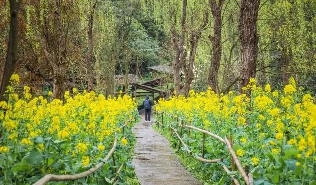 重慶畫室培訓(xùn)助你考上川美！體驗(yàn)川美校園環(huán)境，提前愛上她！