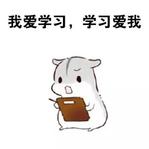 美術藝考生如何提高文化課成績？加大自身錄取優勢！重慶考生必看