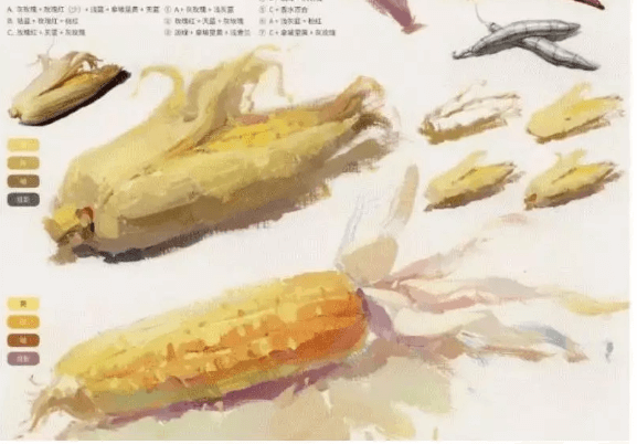 色彩靜物中的蔬菜類怎么畫,看重慶美術培訓學校老師來教你！圖二十三
