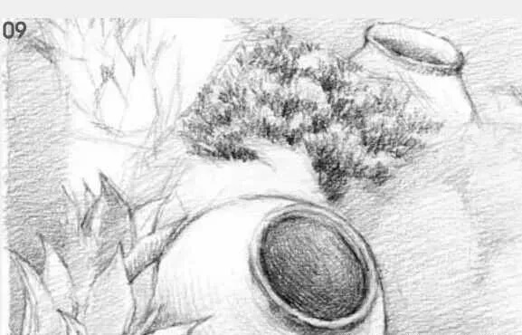 素描場景實(shí)操教程！花園一角怎么畫？重慶畫室學(xué)子看過來！圖十