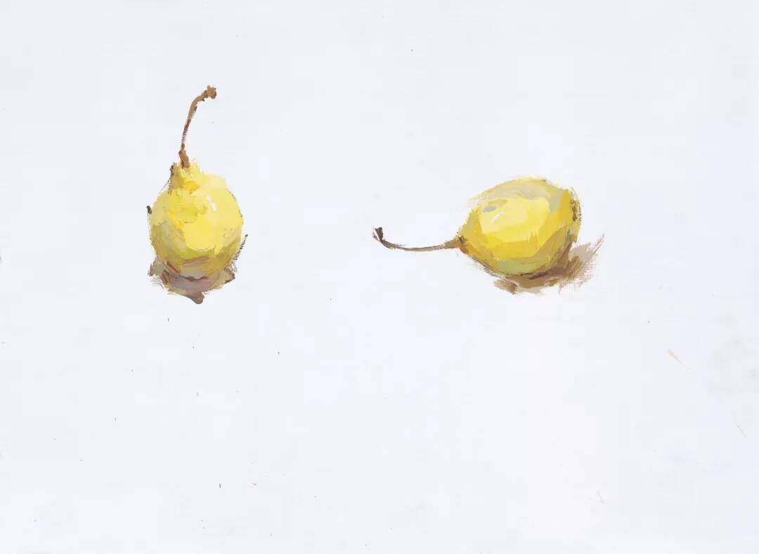 重慶美術(shù)培訓(xùn)畫(huà)室為你整理了聯(lián)考常見(jiàn)的色彩靜物單體詳解！