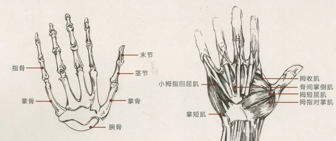 重慶美術培訓畫室：畫人難畫手，畫好手速寫事半功倍！