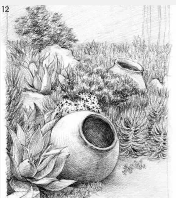 素描場景實操教程！花園一角怎么畫？重慶畫室學子看過來！