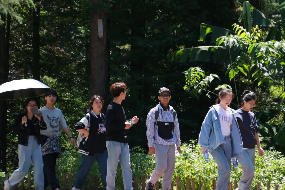 重慶畫(huà)室寒假班