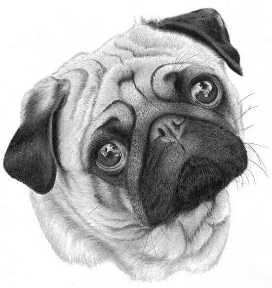 畫素描如何快速提高分數？這十大事實重慶美術培訓畫室里的同學一定要知道！