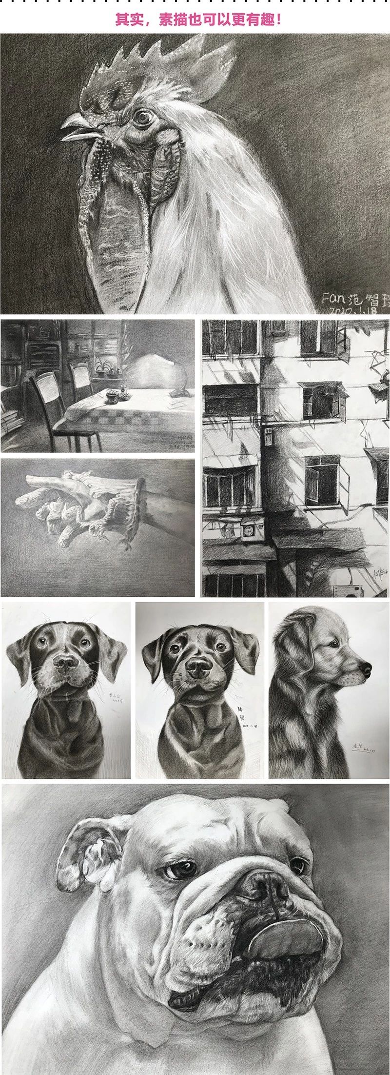 重慶畫(huà)室素描作品