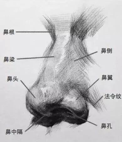 畫好五官，整個頭像就亮了！重慶美術培訓畫室幫你聯考素描提高10分！