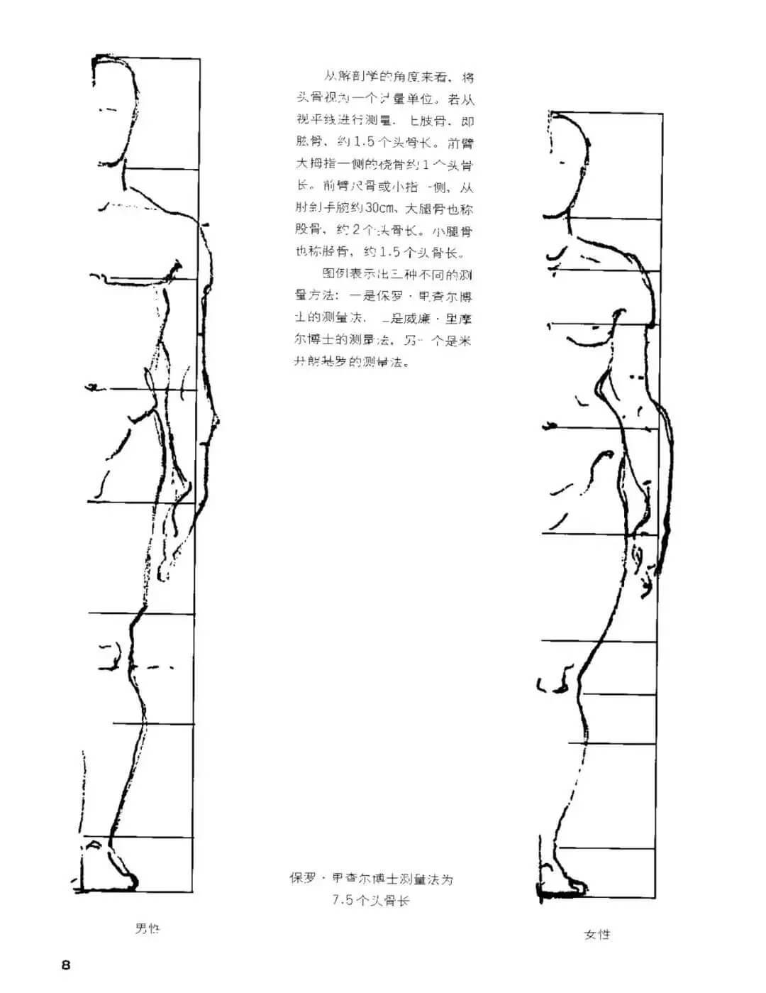 干貨分享：速寫人物基礎知識詳解及要點剖析！4