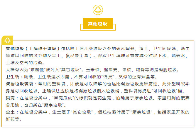 龍行公益 ‖ 助推環保齊動員，重慶龍行畫室在行動！圖九