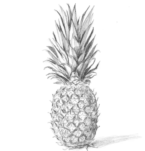 美術初學者超實用的水果靜物素描技巧！重慶美術生不可錯過！圖九